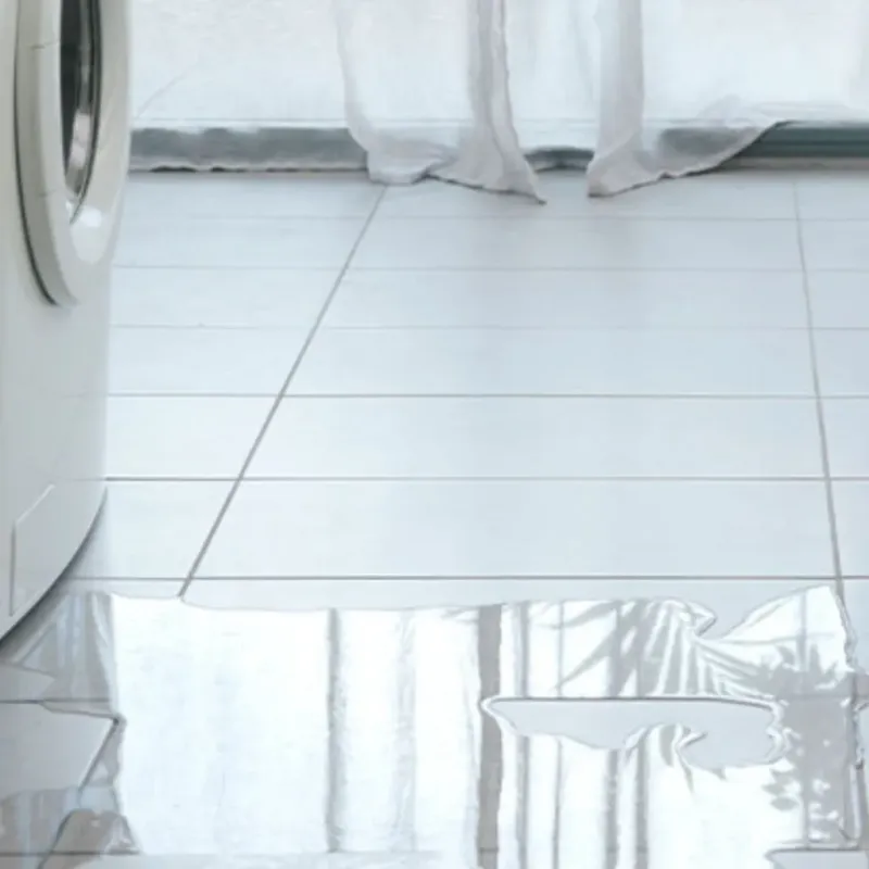Appliance Leak Cleanup in Woodlawn, IL