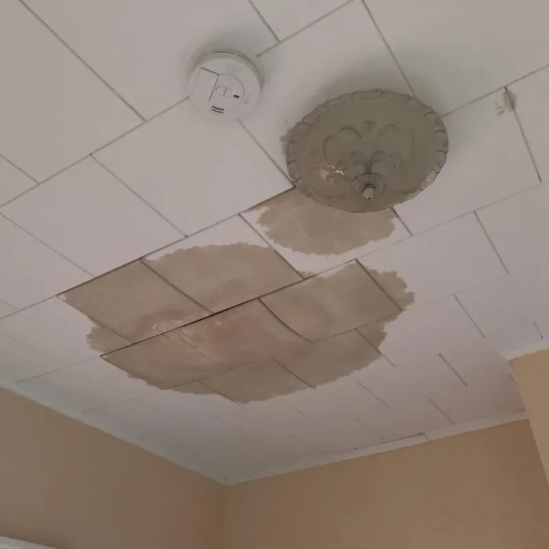 Ceiling Water Damage Repair in Woodlawn, IL