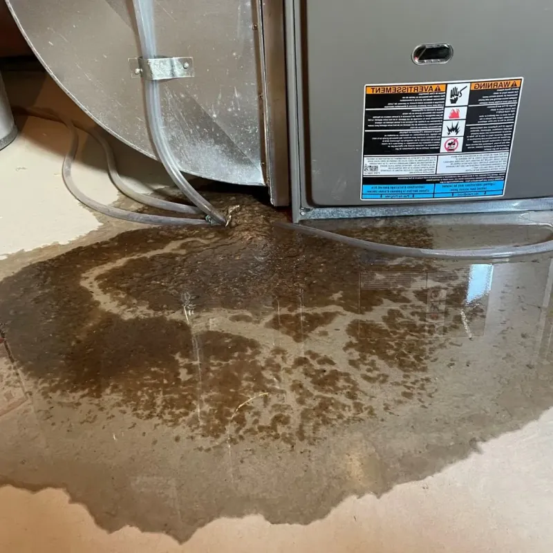 Pipe Burst and Leak Restoration in Woodlawn, IL