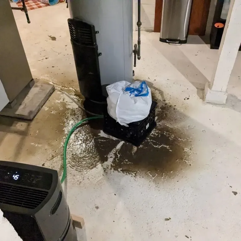 Sewage Backup Cleanup Service in Woodlawn, IL